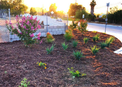 commercial-hoa-landscaping-photo-01-opt