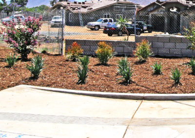 commercial-hoa-landscaping-photo-04