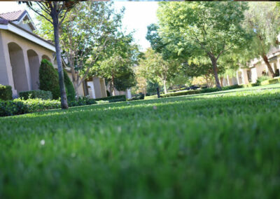 commercial-hoa-landscaping-photo-08_opt